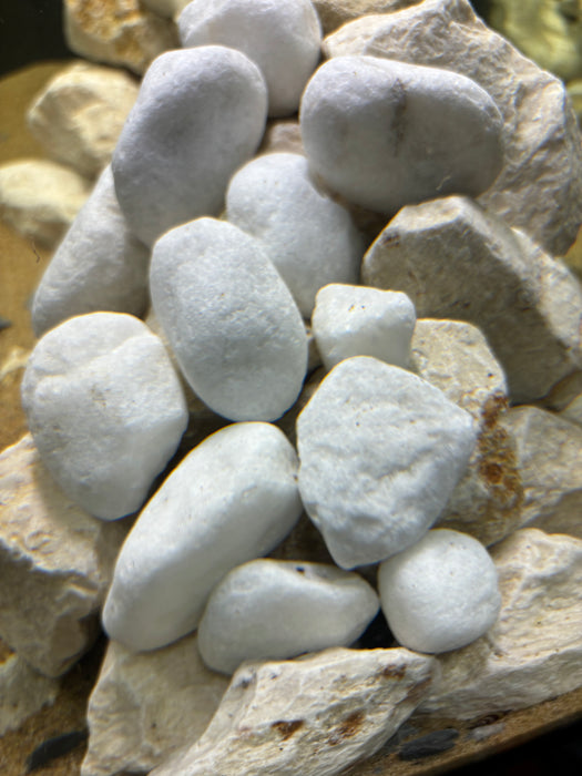 APS Scaping Pebbles White 1kg