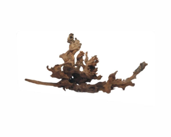 Wabi Kusa Drift Wood 5-12 cm