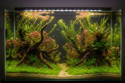 150 cm Aquarium Plantenmix