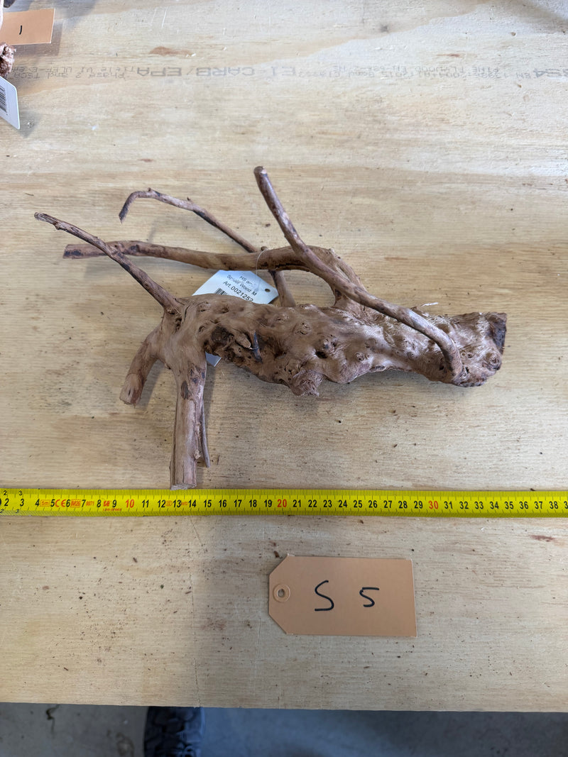 Spiderwood Medium