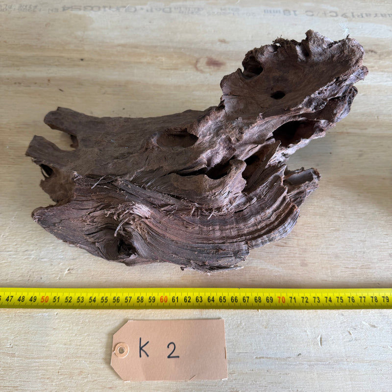Kienhout Medium