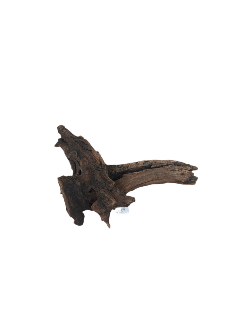 Sera Drift Wood