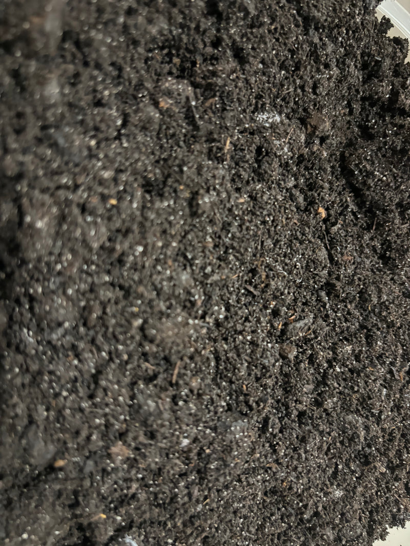 Paludarium Soil Plus