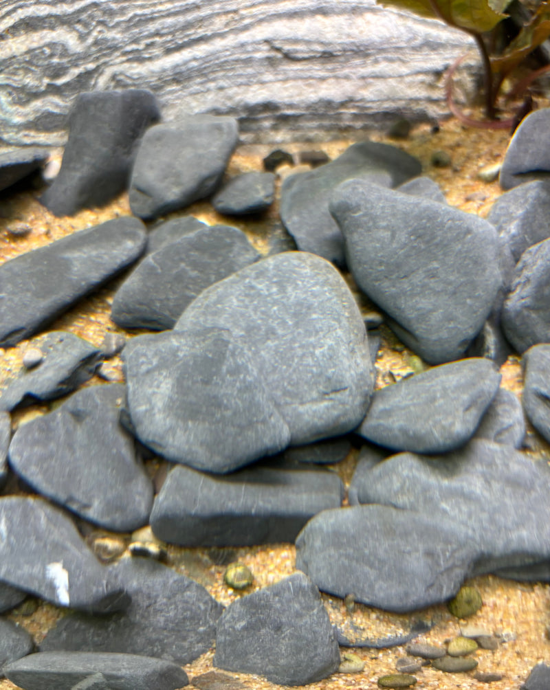 APS Scaping Pebbles Flat Dark Aquarium