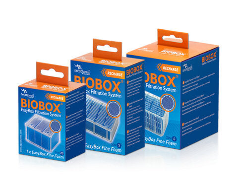 Aquatlantis EasyBox - Fine Foam