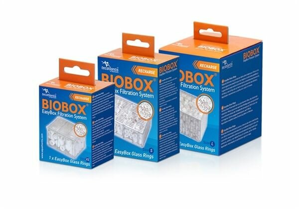 Aquatlantis EasyBox - Glass Rings