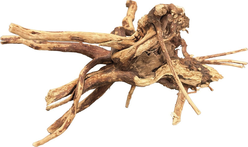 BioArt Spiderwood 10-15 cm