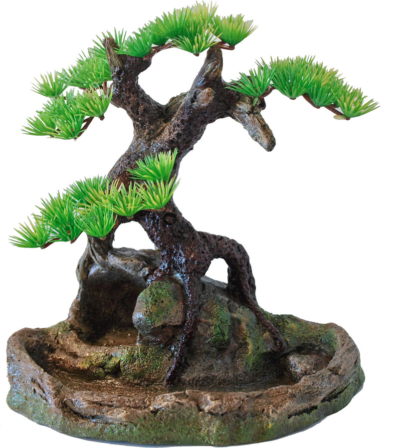 Boon Aqua Deco Bonsai Boom op Rots