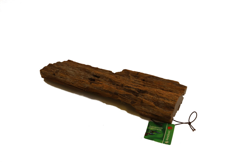 Bogwood