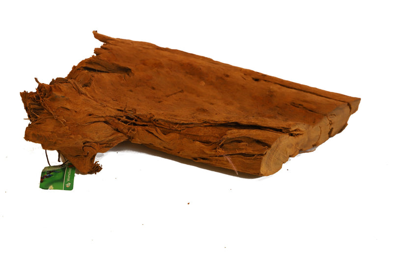 Bogwood