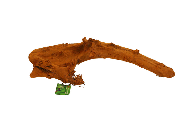 Bogwood