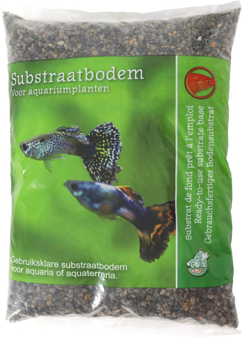 Boon Aquabodem