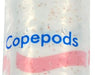 Copepods 100 ml