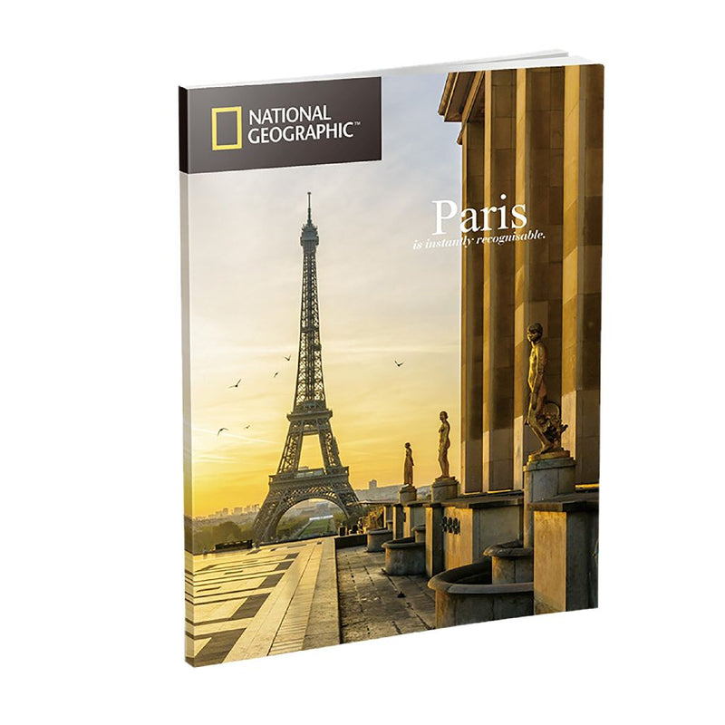 Cubic Fun 3d Puzzel NG Notre Dame De Paris