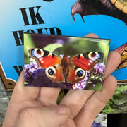 Dagpauwoog – Wildlife Explorer Collectible - preview