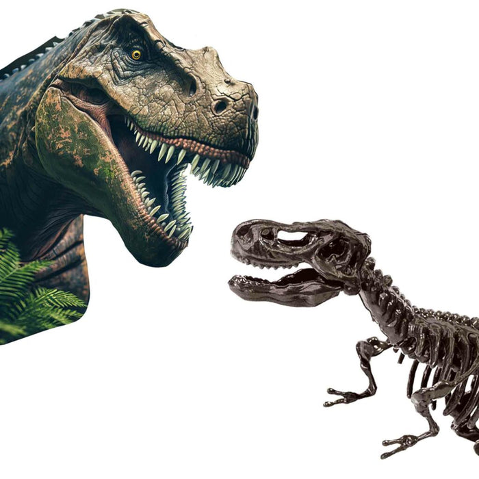 SES Dino and Skeleton Dig 2 in 1 – T-Rex
