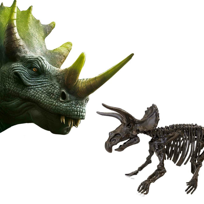 SES Dino en skelet opgraven 2 in 1 – Triceratops