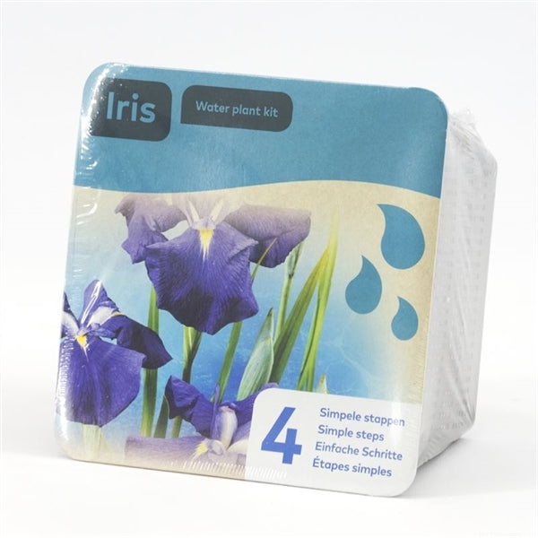 Droogverpakking Iris laevigata