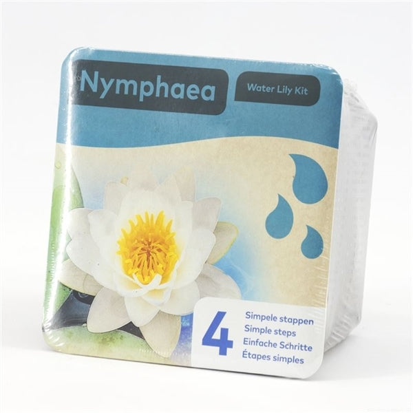 Droogverpakking Waterlelie Nymphaea Wit Waterplanten