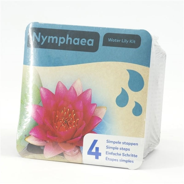 Droogverpakking waterlelie Nymphaea Rood
