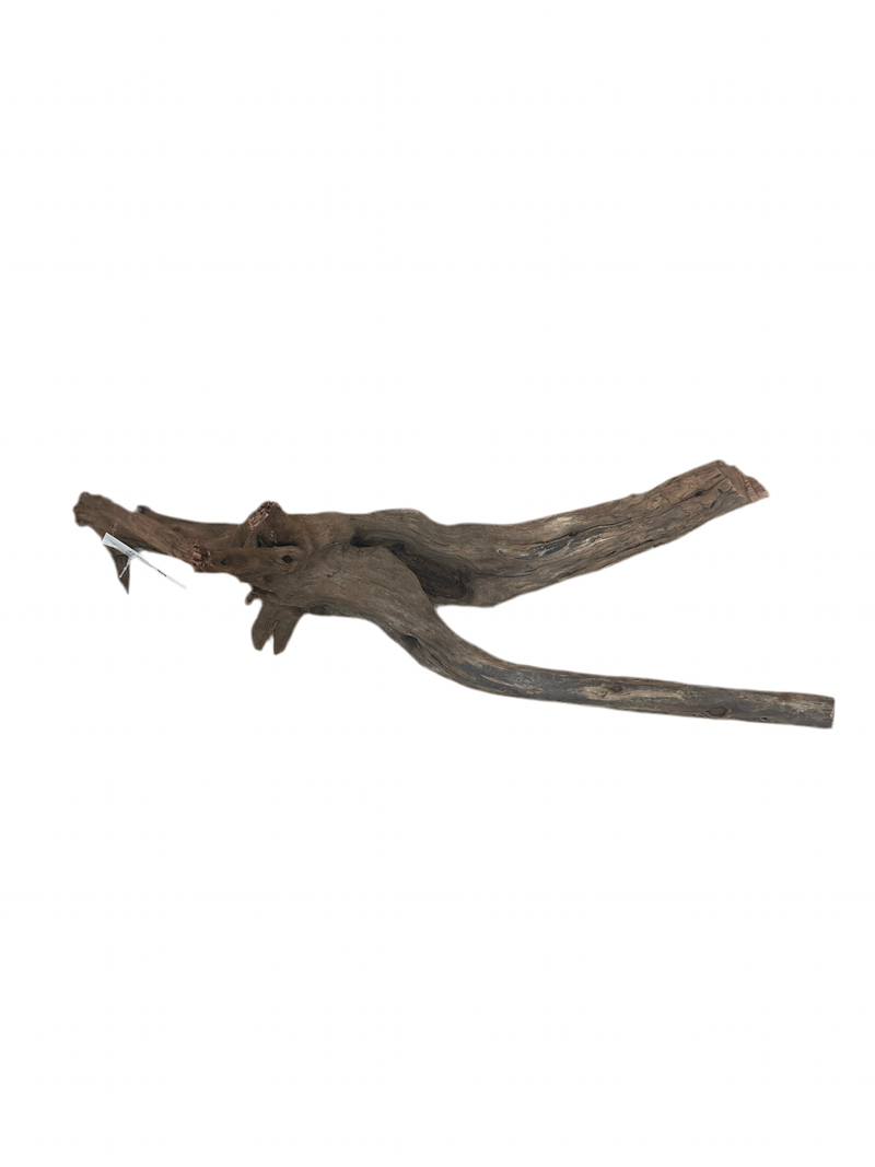 Sera Drift Wood
