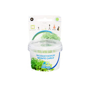 Easy Grow 81 Micrantemum Monte Carlo - In Vitro cup