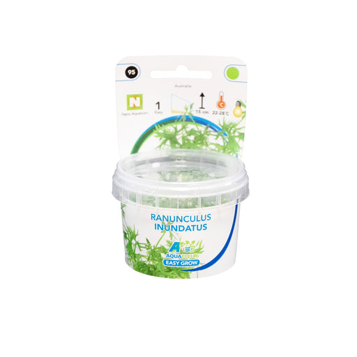 Easy Grow 95 Ranunculus Inundatus - In Vitro cup Aquariumplanten