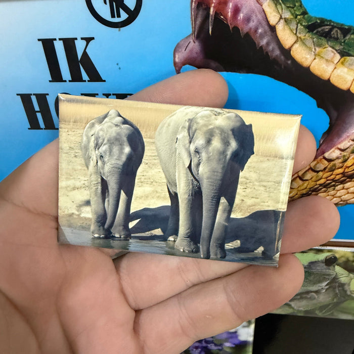 ‘Elephant’ magnet preview 2