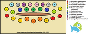 Gezelschaps Aquarium Plantenset 100/120 cm