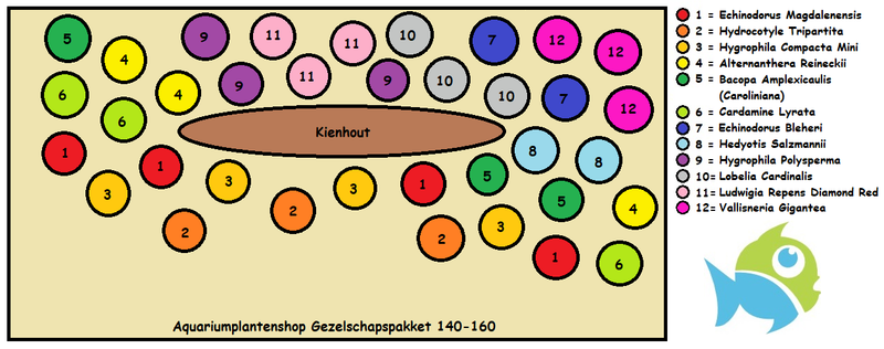 Gezelschaps Aquarium Plantenset 140/160 cm