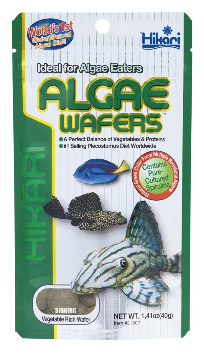 Hikari Algae Wafers 40 gram
