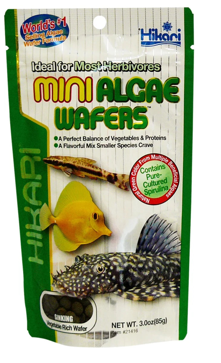 Hikari Mini Algae Wafers 85 gram