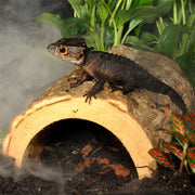 HabiStat Jungle Schuilplaats Voorbeeld
