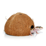Habistat Cocosnoot Grot Gekko