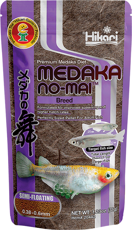 Hikari Medaka No-Mai Breed