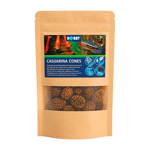 Hobby Casuarina Cones 25x