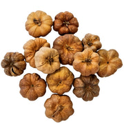 Hobby Cucurbita 25x