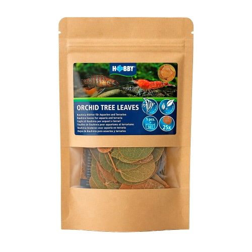 Hobby Orchid Tree Leaves 25x vp