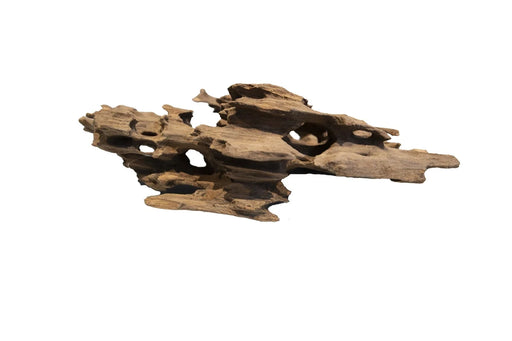 Honeycomb Wood Small - Aquarium Decoratie