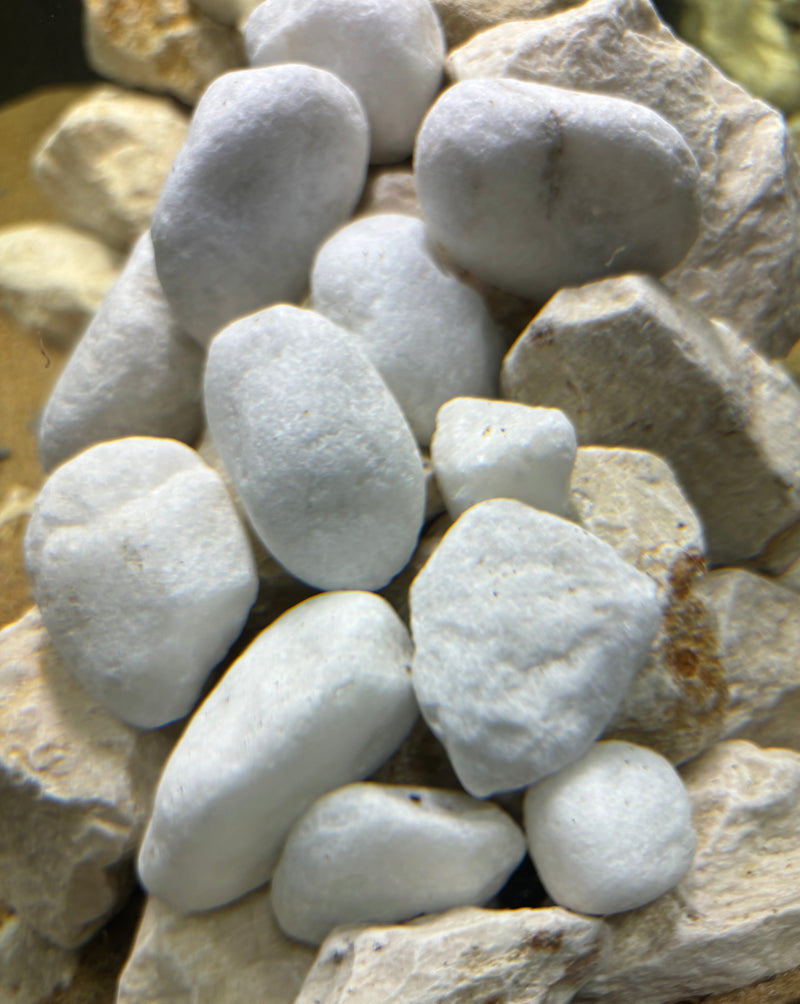 APS Scaping Pebbles Black & White 1kg