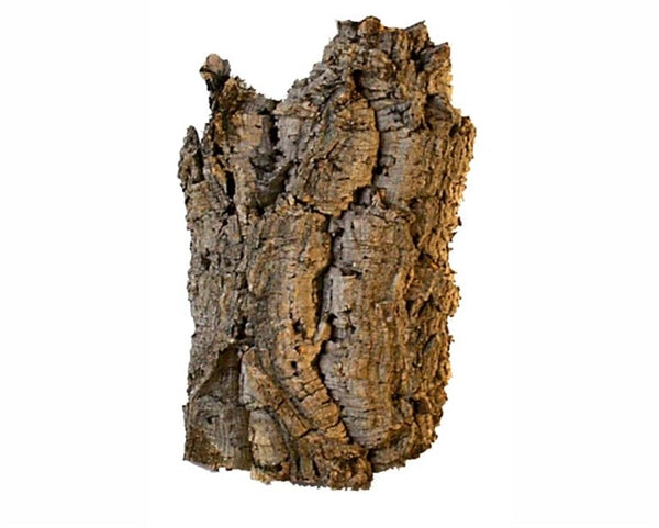Cork bark