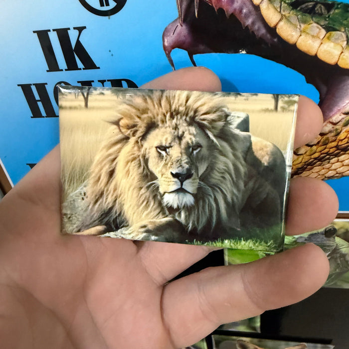 Lion magnet preview 2