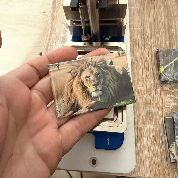 ‘Lion’ magnet preview
