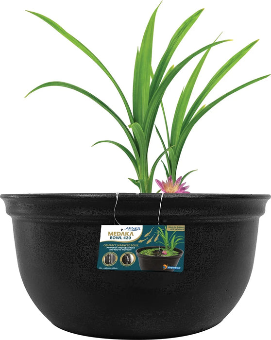 Medaka Bowl 420 Side