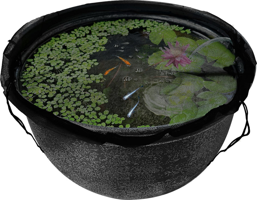 Medaka Bowl Afdeknet voorbeeld