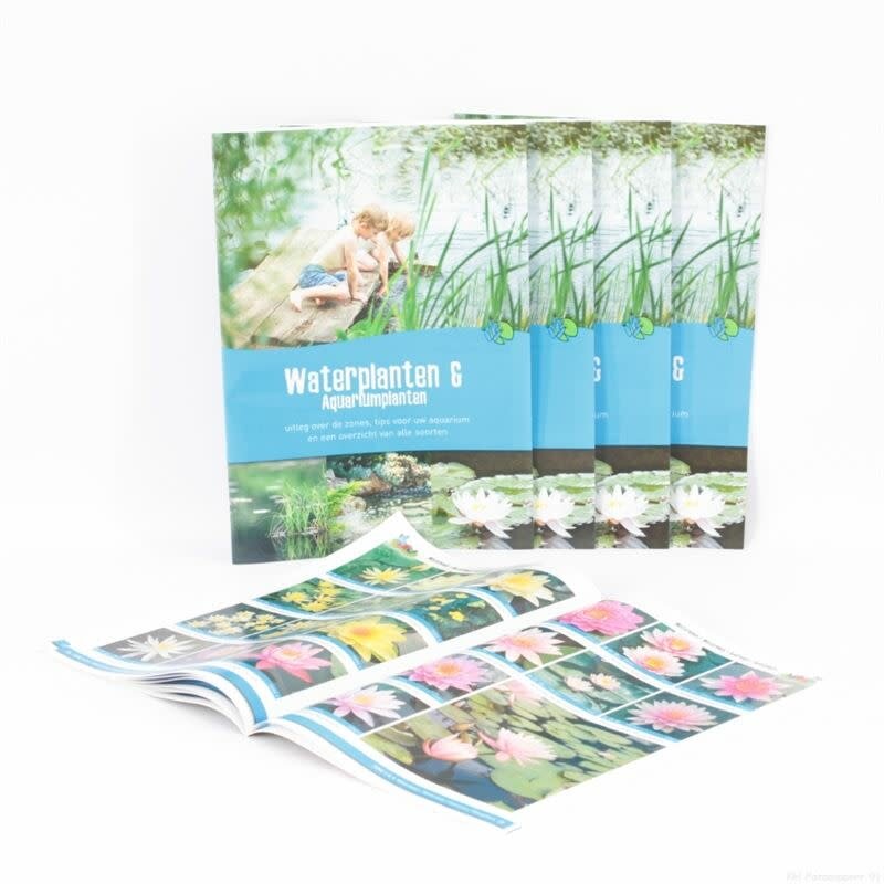 Moerings Waterplanten Catalogus