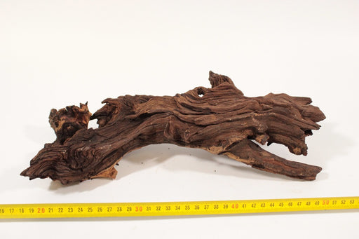 Mopani Wurzel für Aquarium Terrarium Naturprodukt Aquascape - Fischfu Mopani Wurzel für Aquarium Terrarium Naturprodukt Aquascape - Fischfu