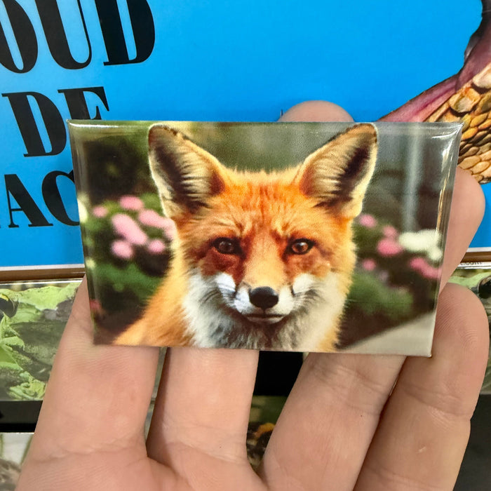 Red Fox magnet preview
