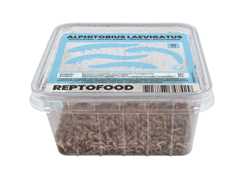 Repto Buffalowormen - Alphitobius Laevigatus