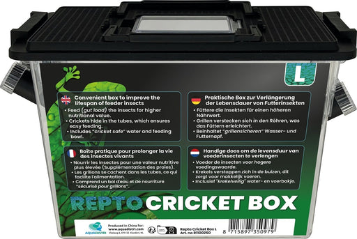 Repto Cricket Box Large 30x15x20 cm